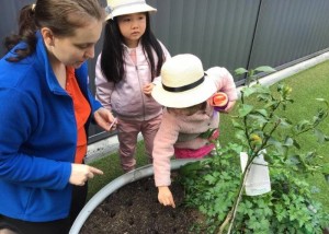 Learning to Care for the Environment on National Tree Day