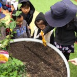 Learning to Care for the Environment on National Tree Day