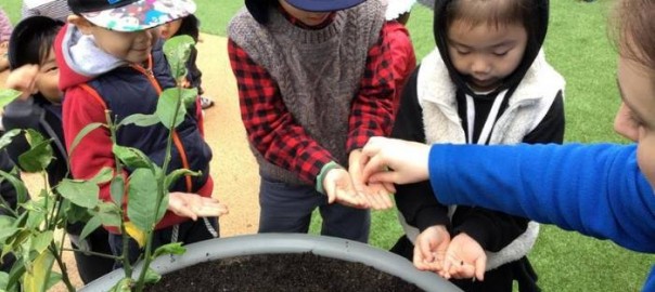 Gardening Experience Early Learning