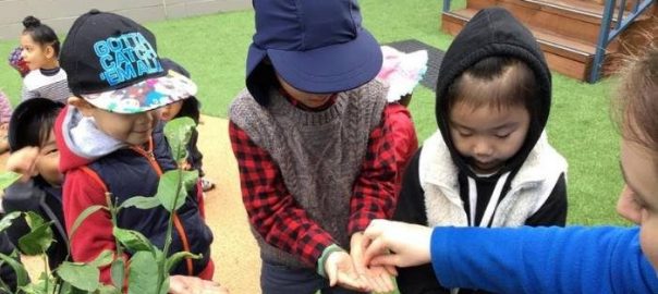 Gardening Experience Early Learning