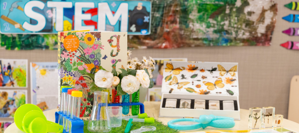 stem early learning
