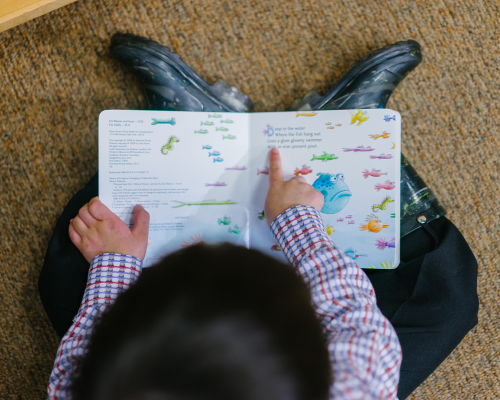 reading-and-literacy