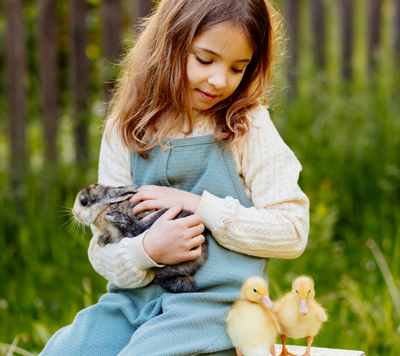 Child on incursion with animals
