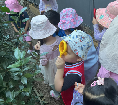 child looking at plants in garden