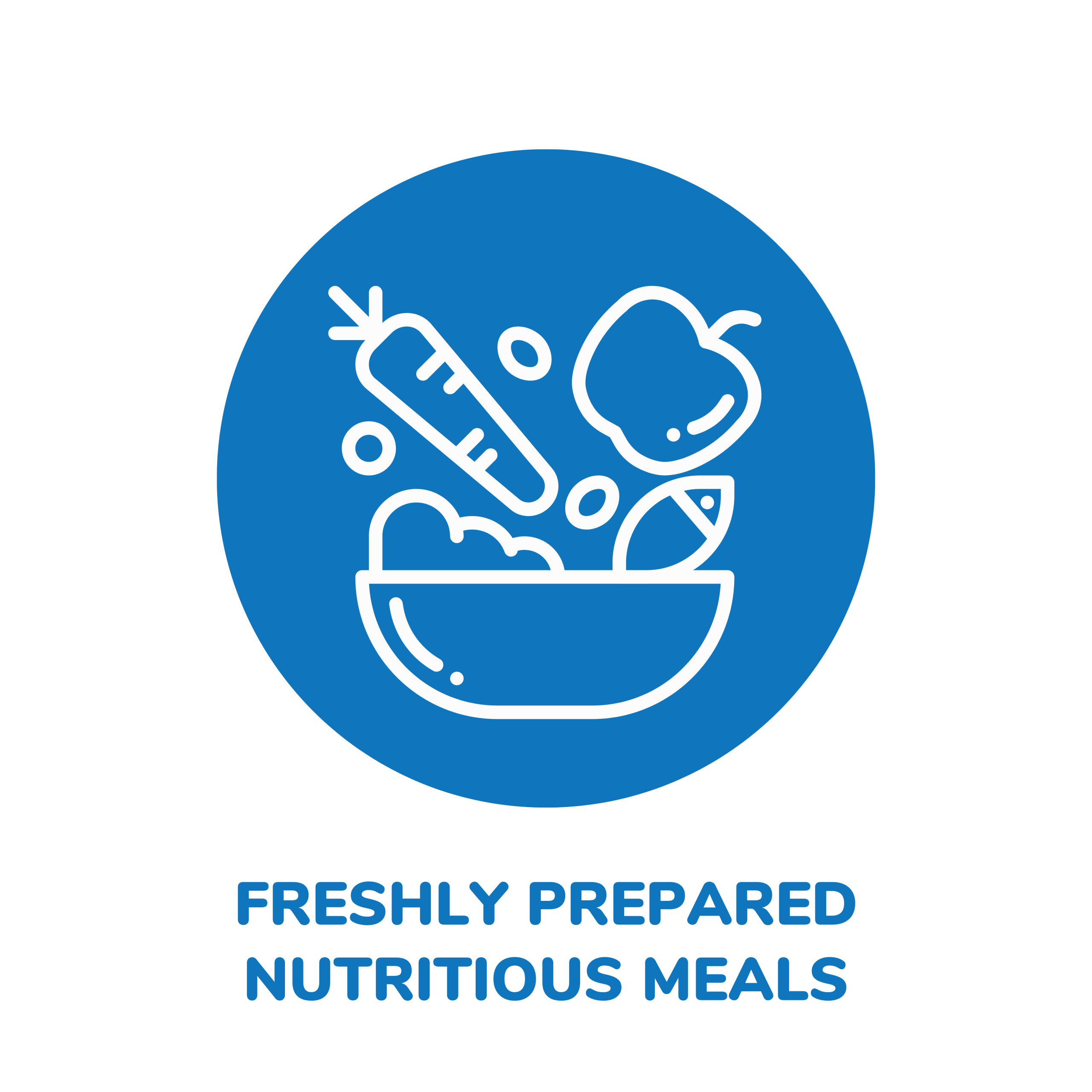 Freshly prepared nutritious meals